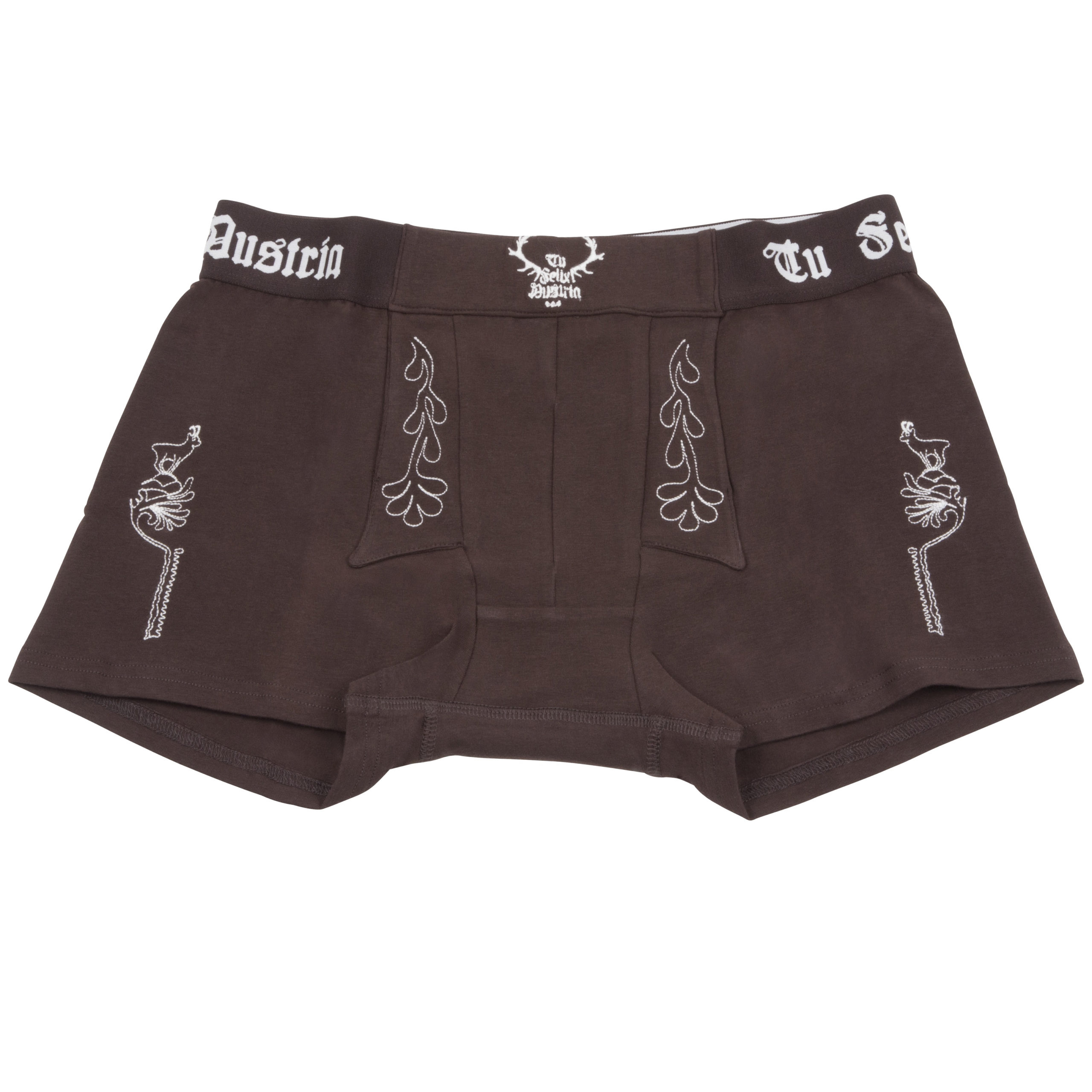 Herren Freizeitlederhose - braun